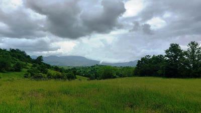 IMG-20230605-WA0035