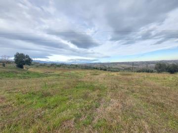 IMG-20240115-WA0059
